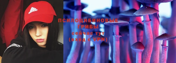 бутират Инсар