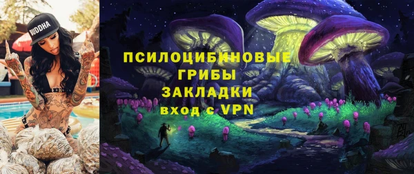 метадон Инта