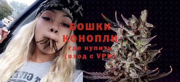 молекула духа Иннополис