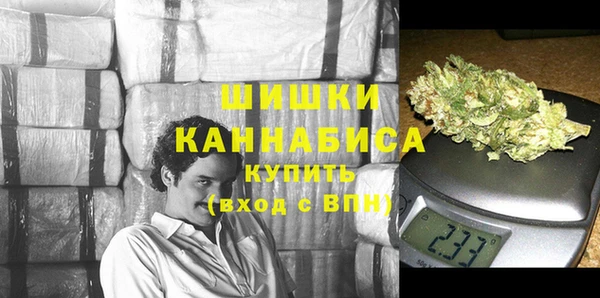 метадон Инта