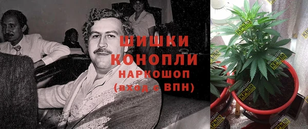 бутират Инсар