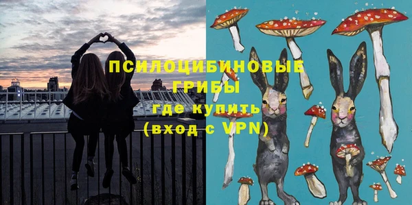 бутират Инсар