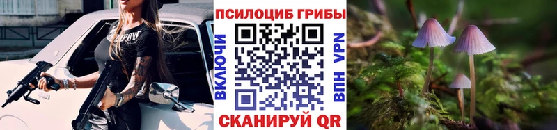где найти   Туринск  Галлюциногенные грибы Magic Shrooms 